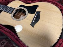 Taylor GS Mini-e Rosewood Plus