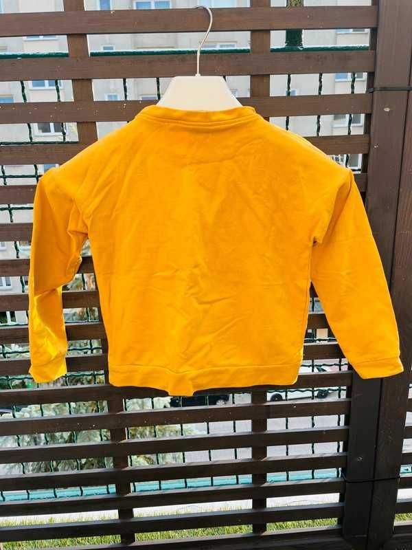 Bluza Harry Potter