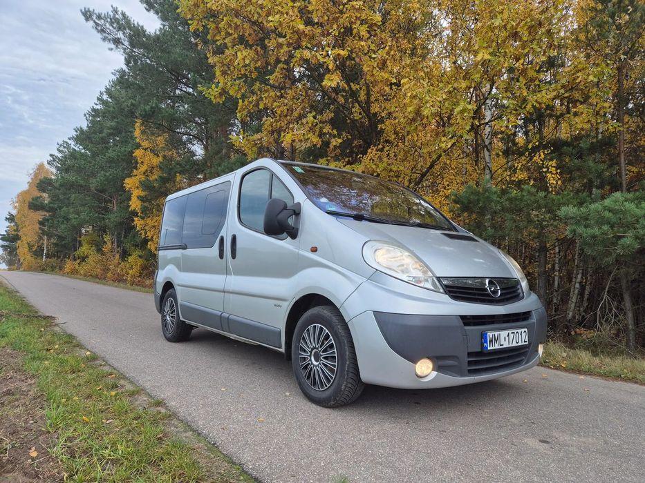 Opel Vivaro Opel Vivaro 9-osobowy, Drzwi z obu stron, Klimatyzacja, Webasto