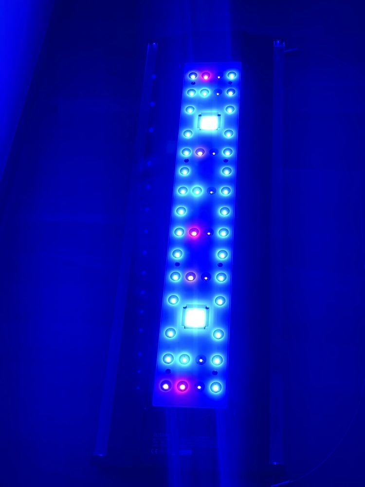 Lampa akwarium morskie Zetlight QMAVEN ZT6800