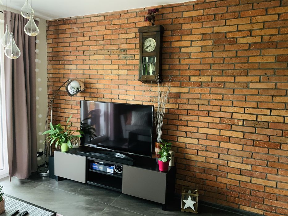 Wynajme mieszkanie 2 pokojowe z ogrodkiem