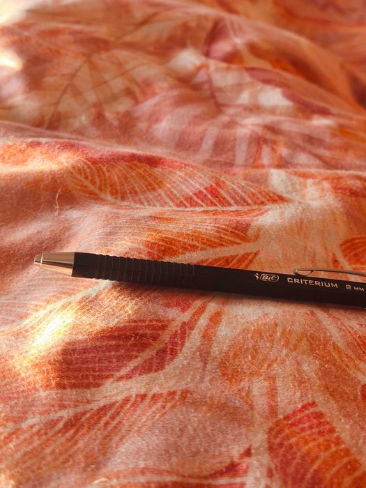 Bic lapiseira impecável