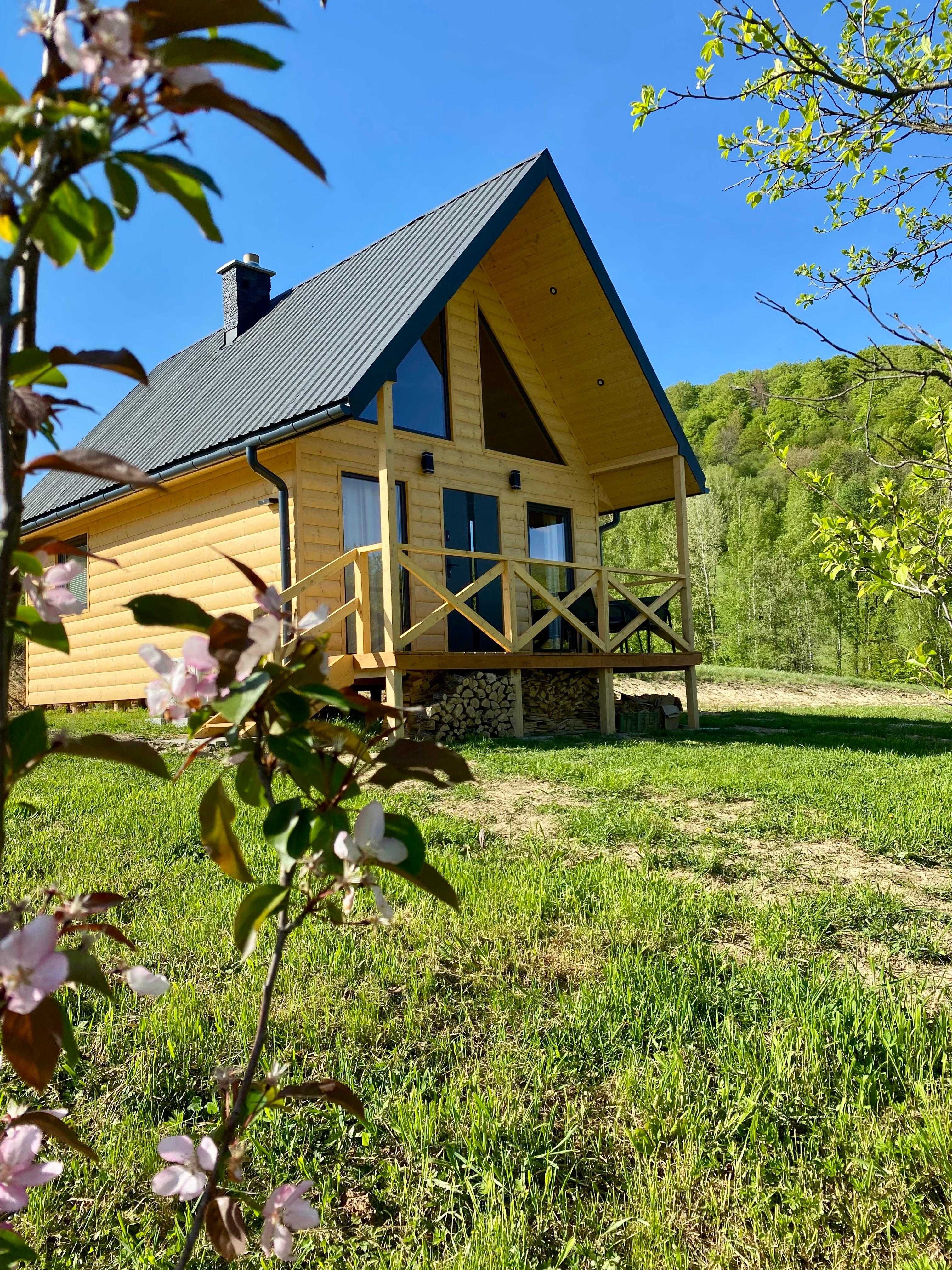Domek na Wzgórzu - Bieszczady