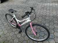 Bicicleta rosa .