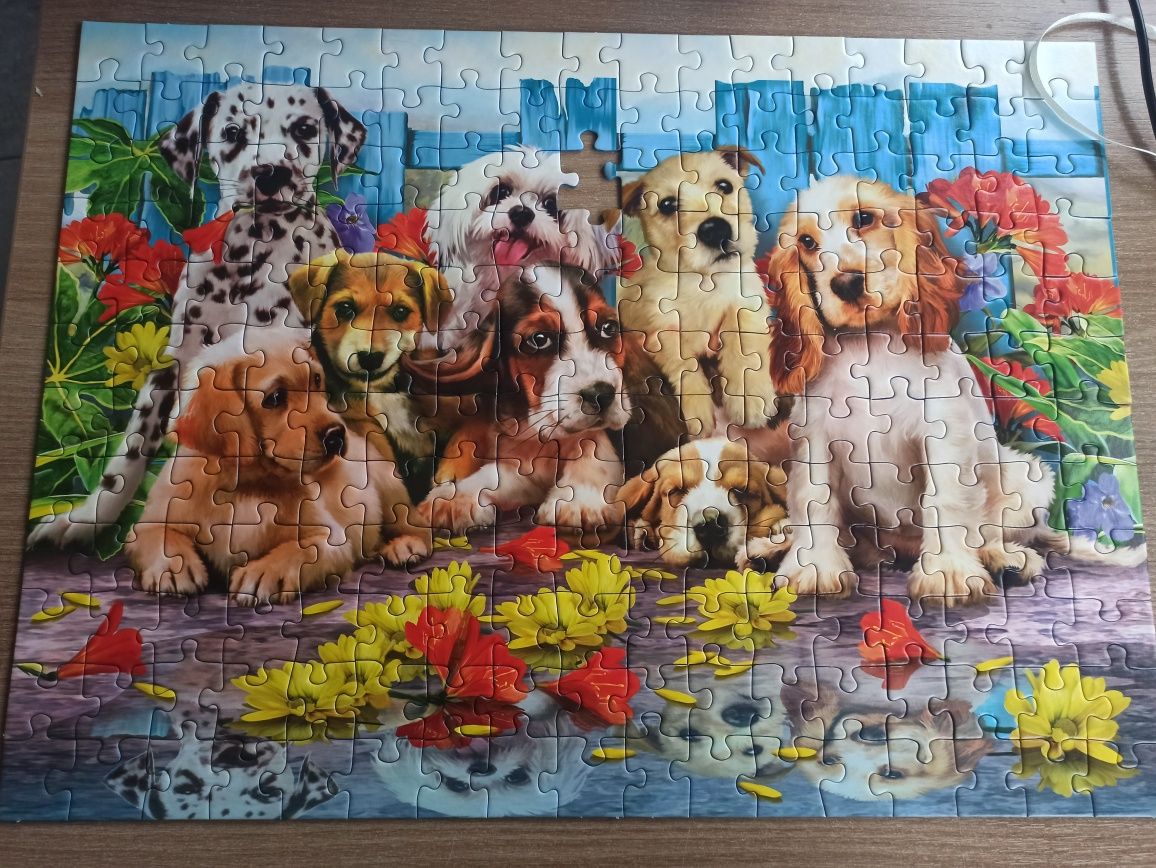 Puzzle Ravensburger 200 sztuk _psy