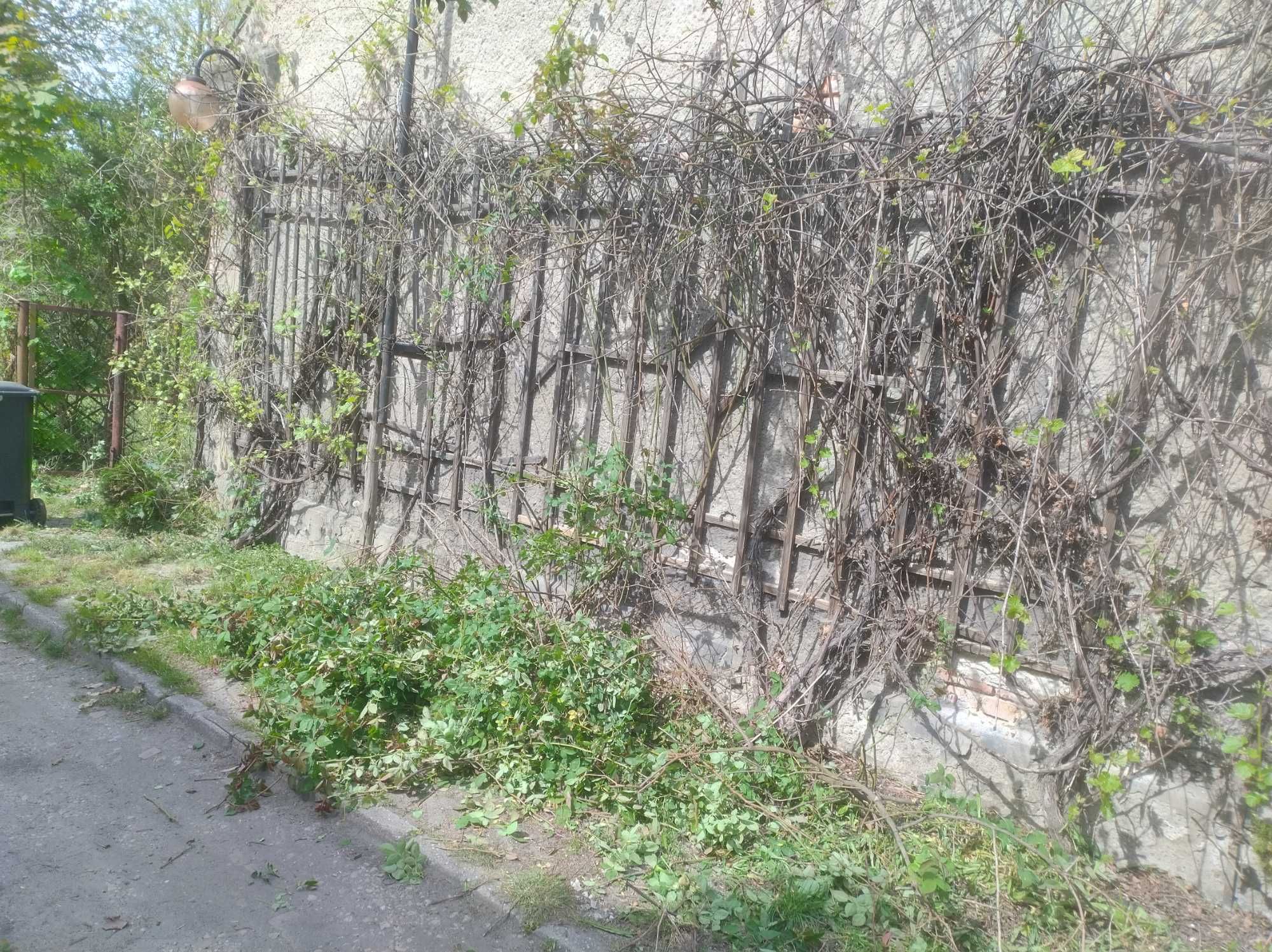 Usługi ogrodowe Sośnicowice