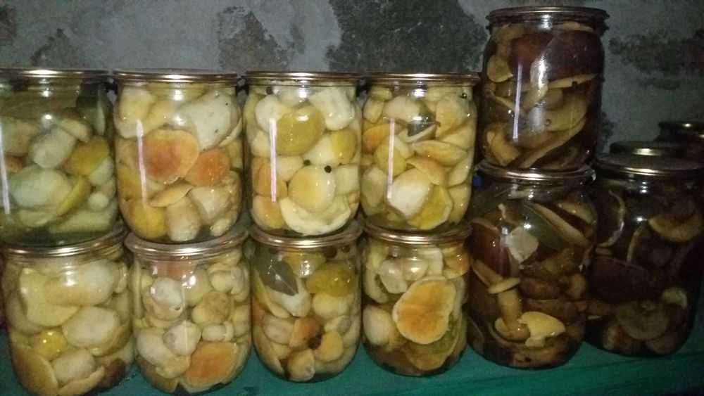 Червона для всіх .