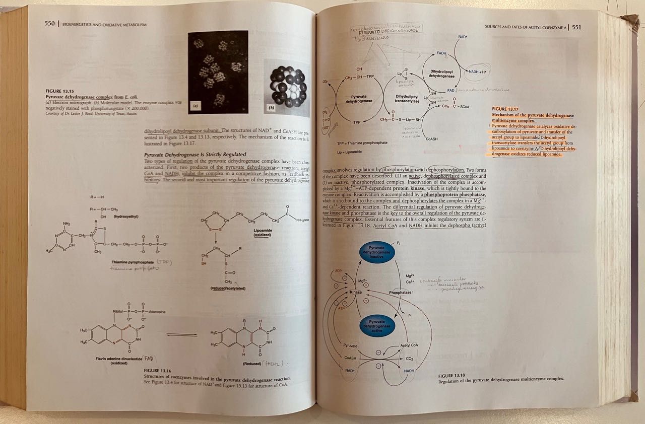 LIVRO Textbook of Biochemistry - Devlin (5.ª edição)