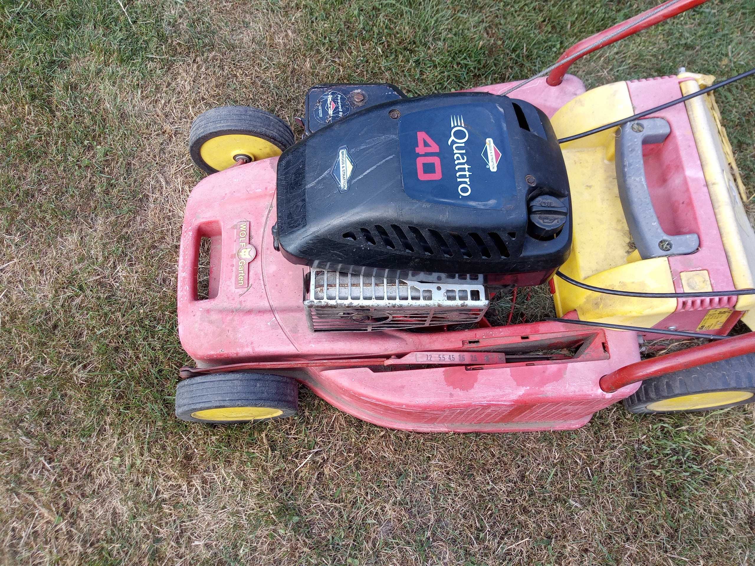 Silnik briggs & stratton do kosiarki