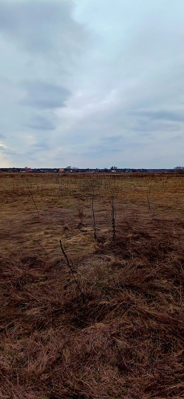 Продаєтся ділянка землі у межах с.Свiдiвок