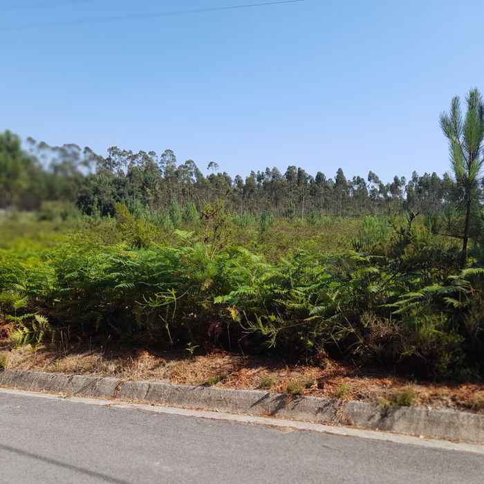 Vende-se um terreno.
