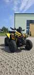 Can am Renegade 800r