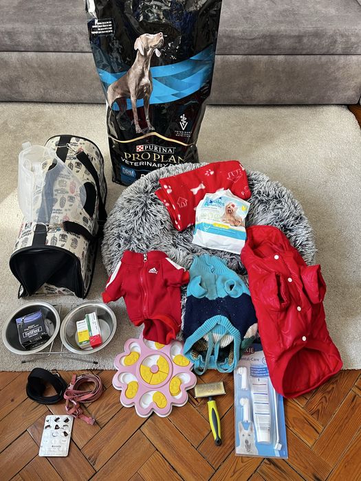 Ração para cão  Yorkshire