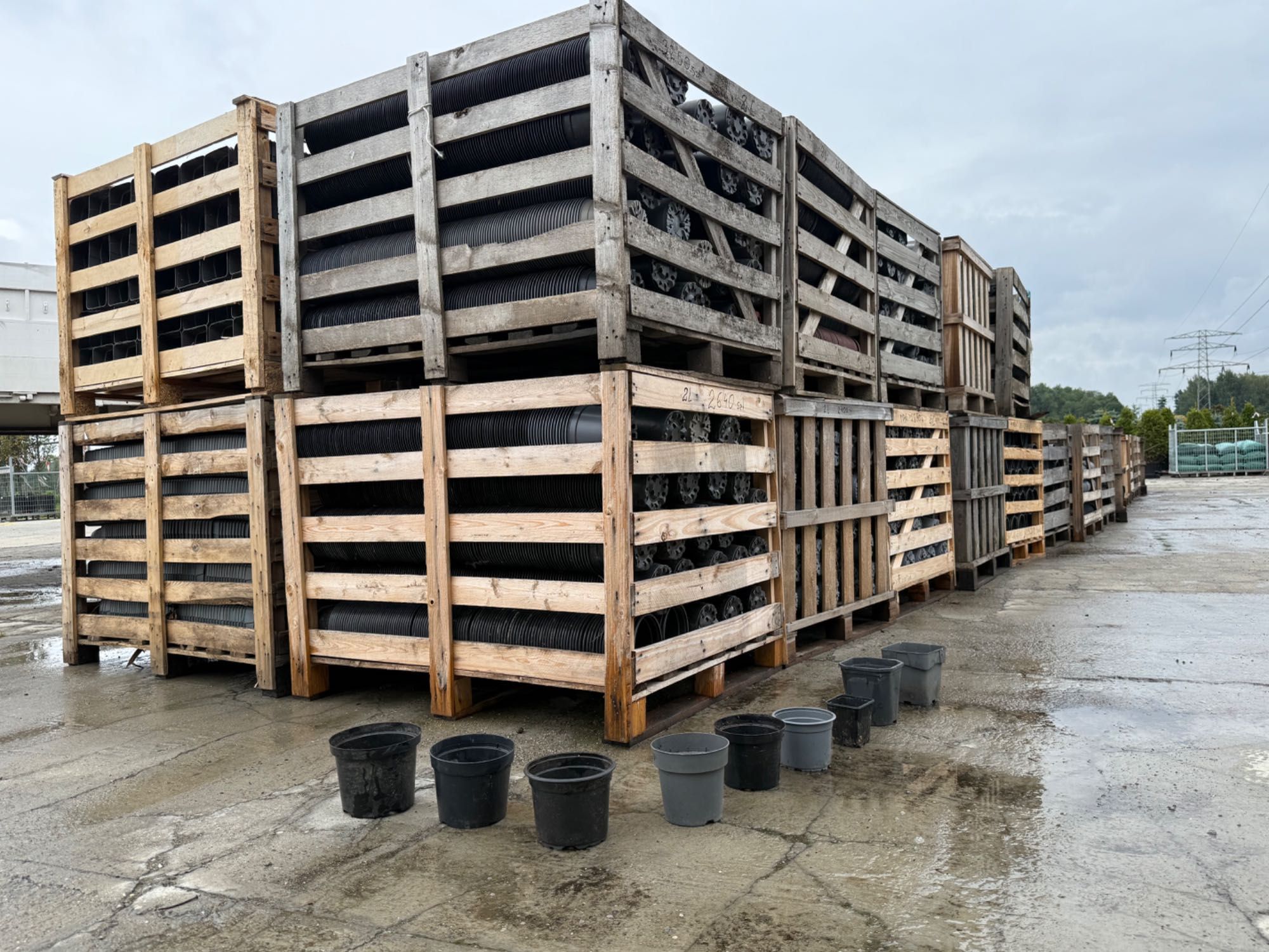 Doniczki produkcyjne p9 / p11 / c1 / c1,5 / c2 / c2,5 / duże ilości