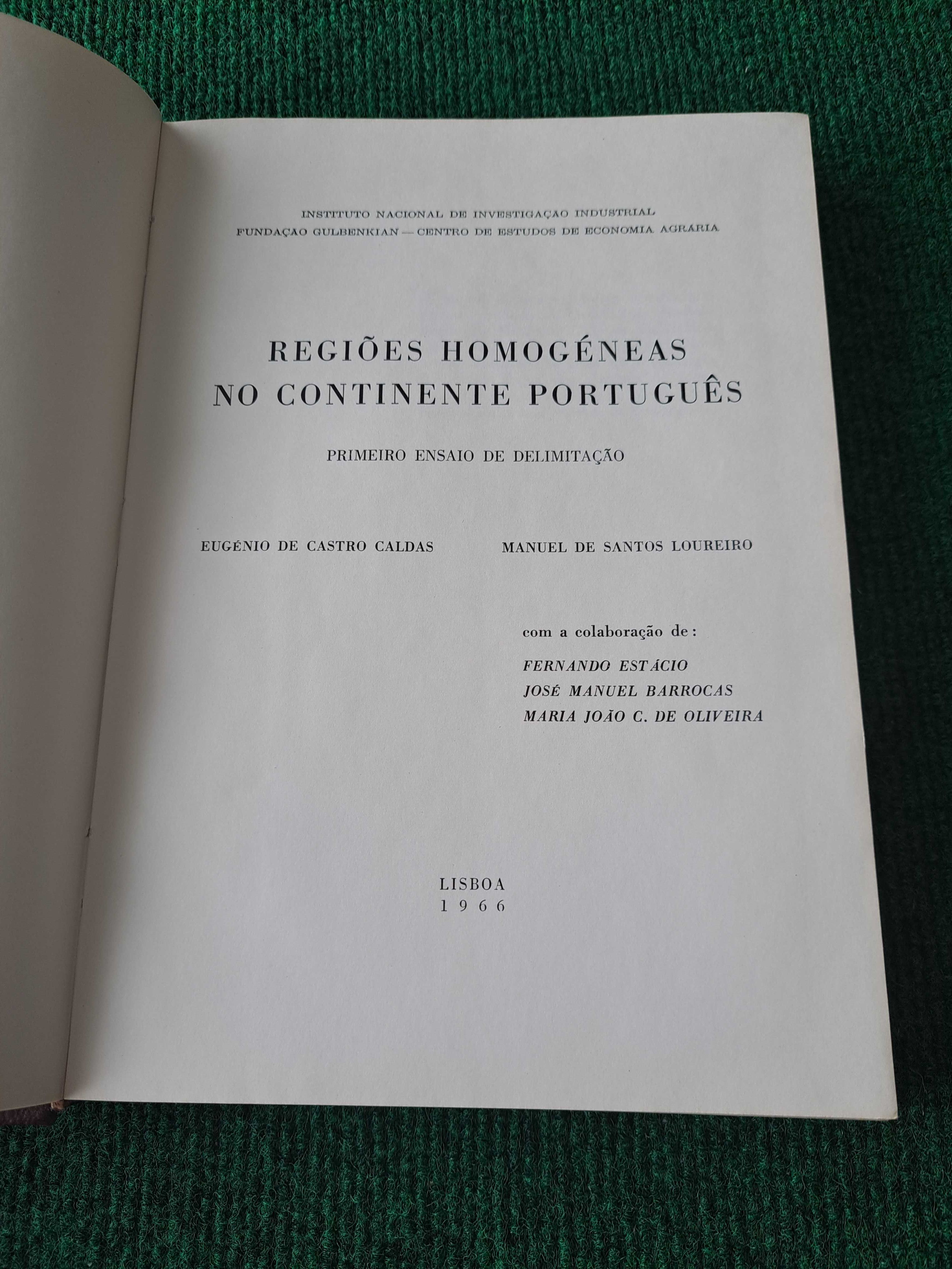 Regiões Homogéneas no Continente Português - C. Caldas / S. Loureiro