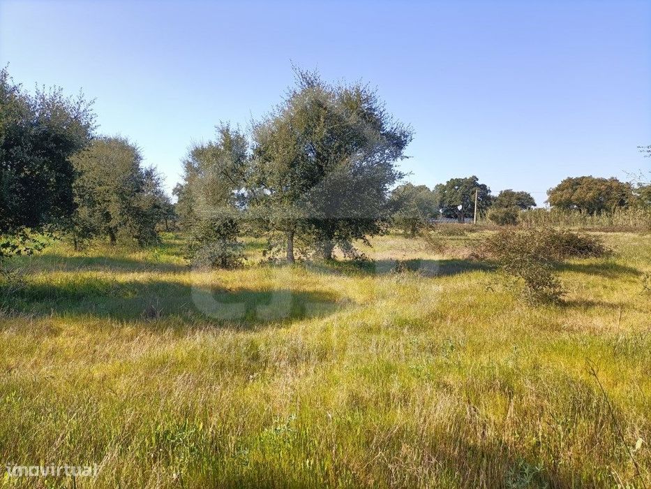 Terreno Foros da Charneca