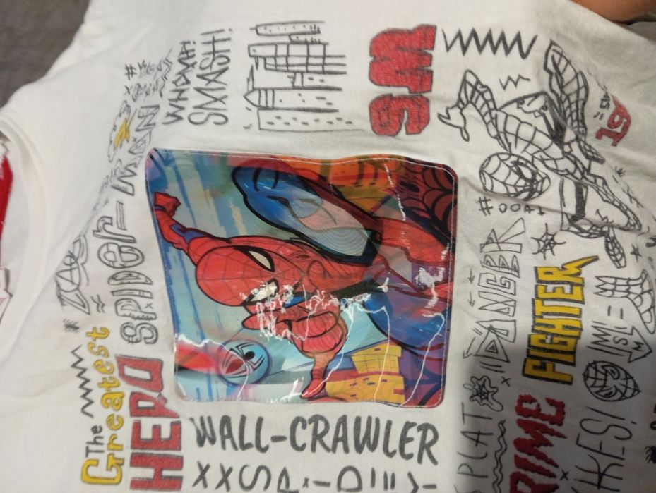 Bluza z długim rękawem Spiderman