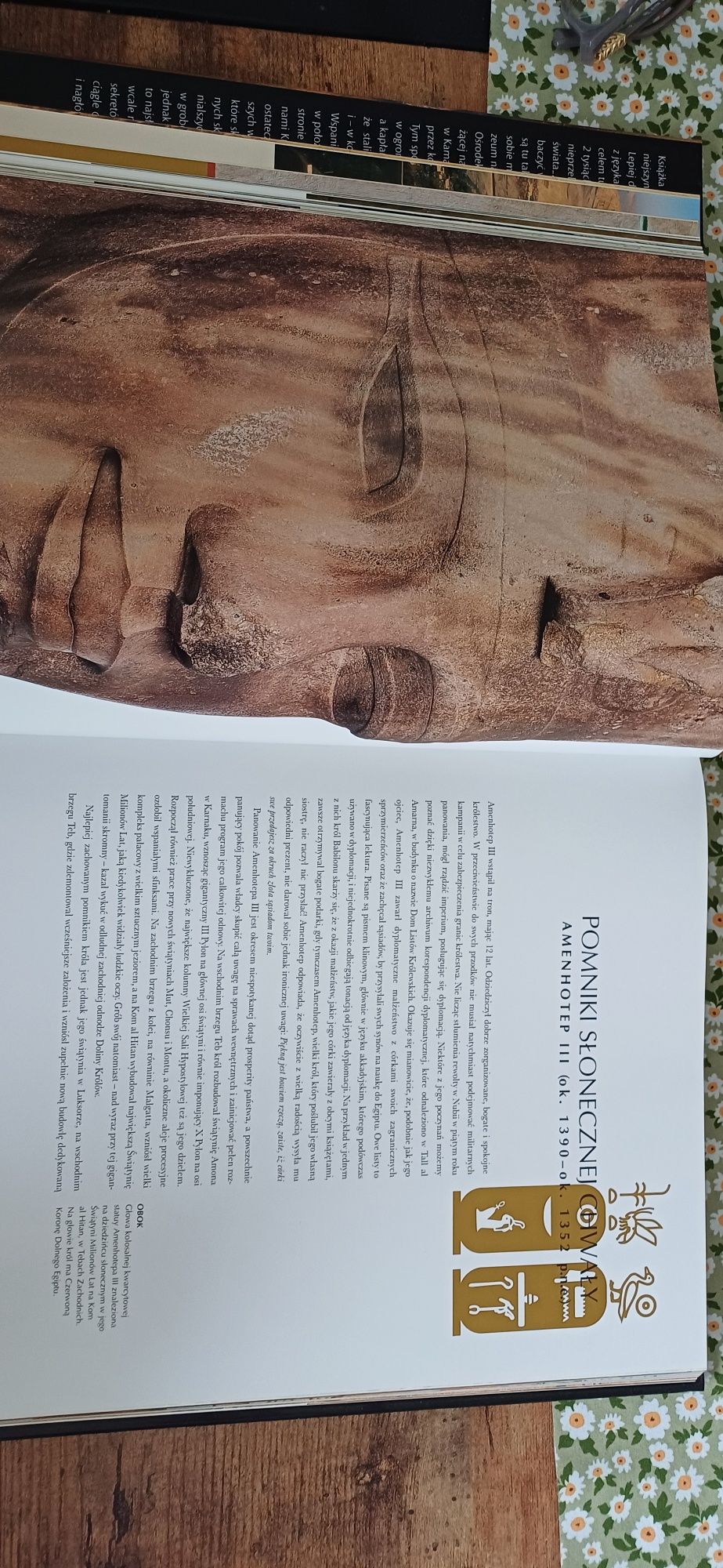 Książka Skarby Faraonów
