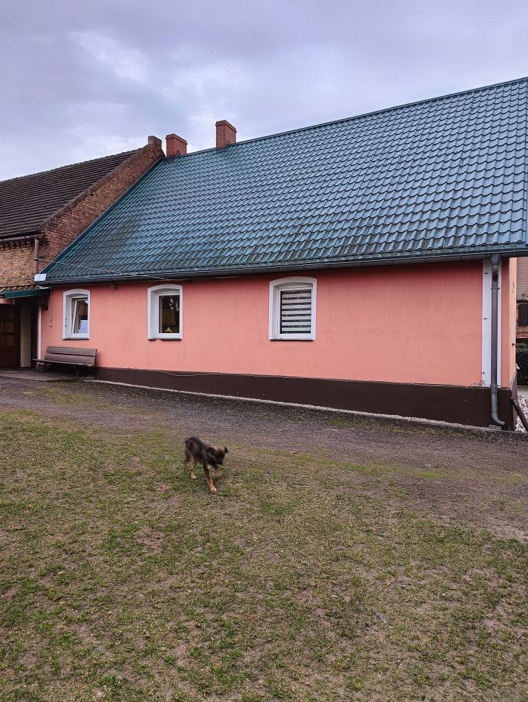 Dom wolnostojący z budynkami gospodarczymi
