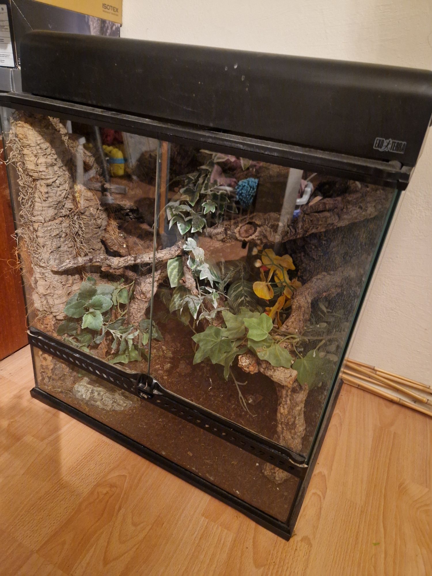 Terrarium Exo Terra 60x60x45 + Top Exo Terra 60 cm