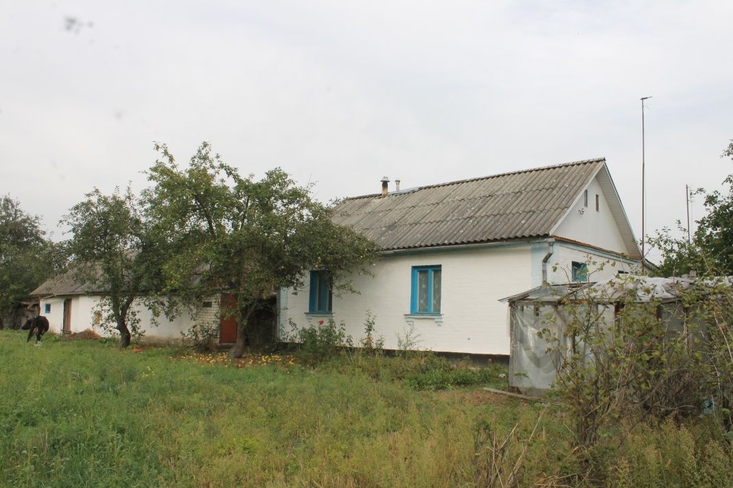 Продається будинок в с. Наталівка