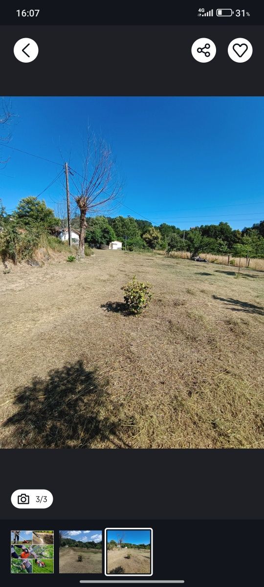 Limpeza de terrenos e outros serviços