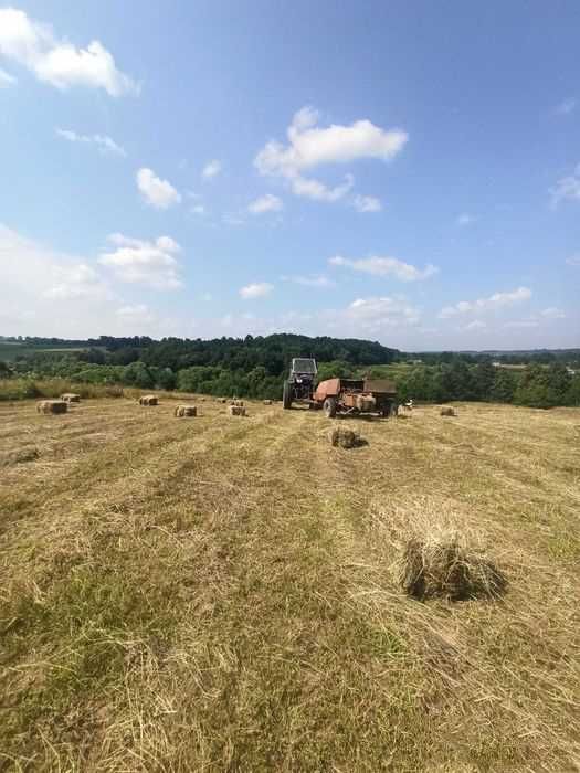 Продам сіно в тюках, можлива доставка