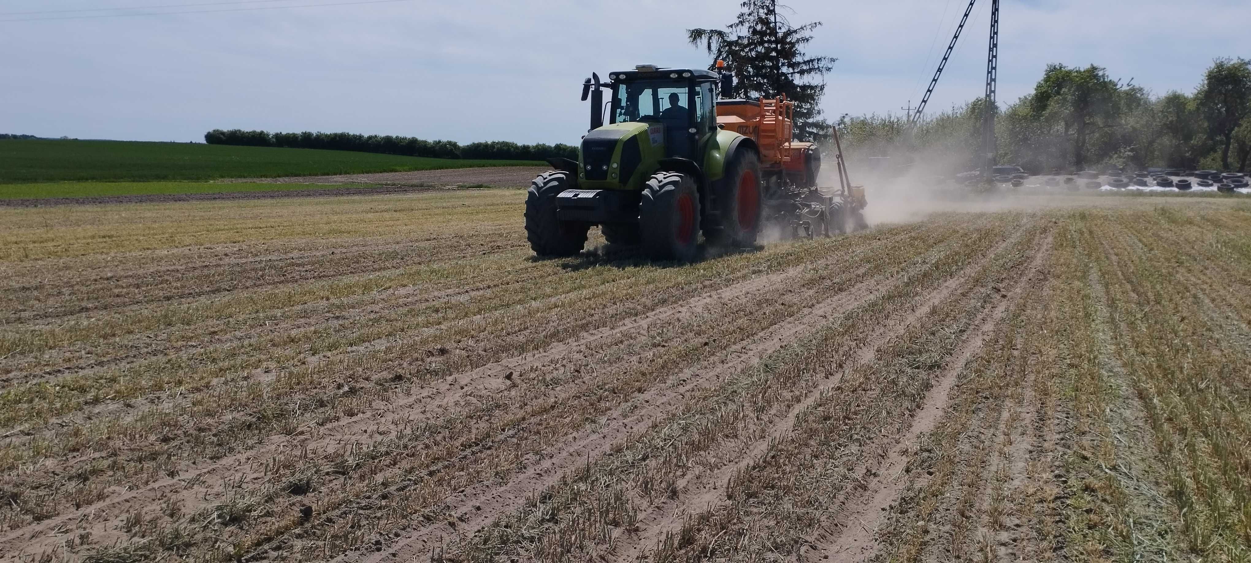 Siew pasowy kukurydzy słonecznika zbóż strip-till uprawa pasowa Mzuri