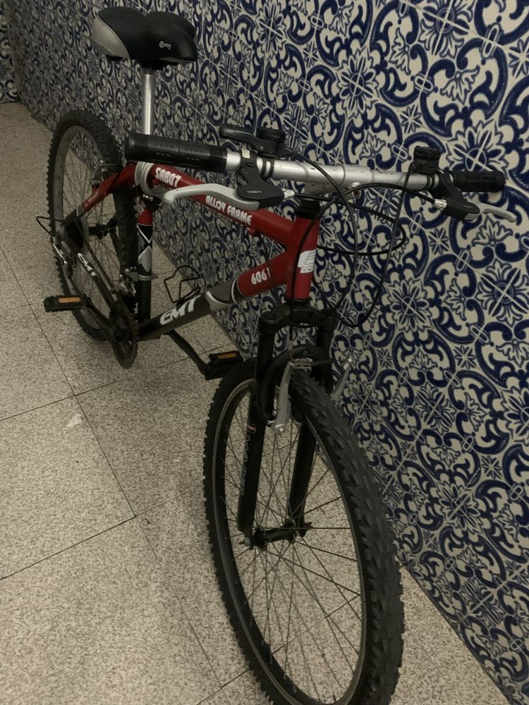 Bicicleta para adultos