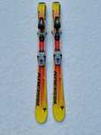 Narty Kneissl 110