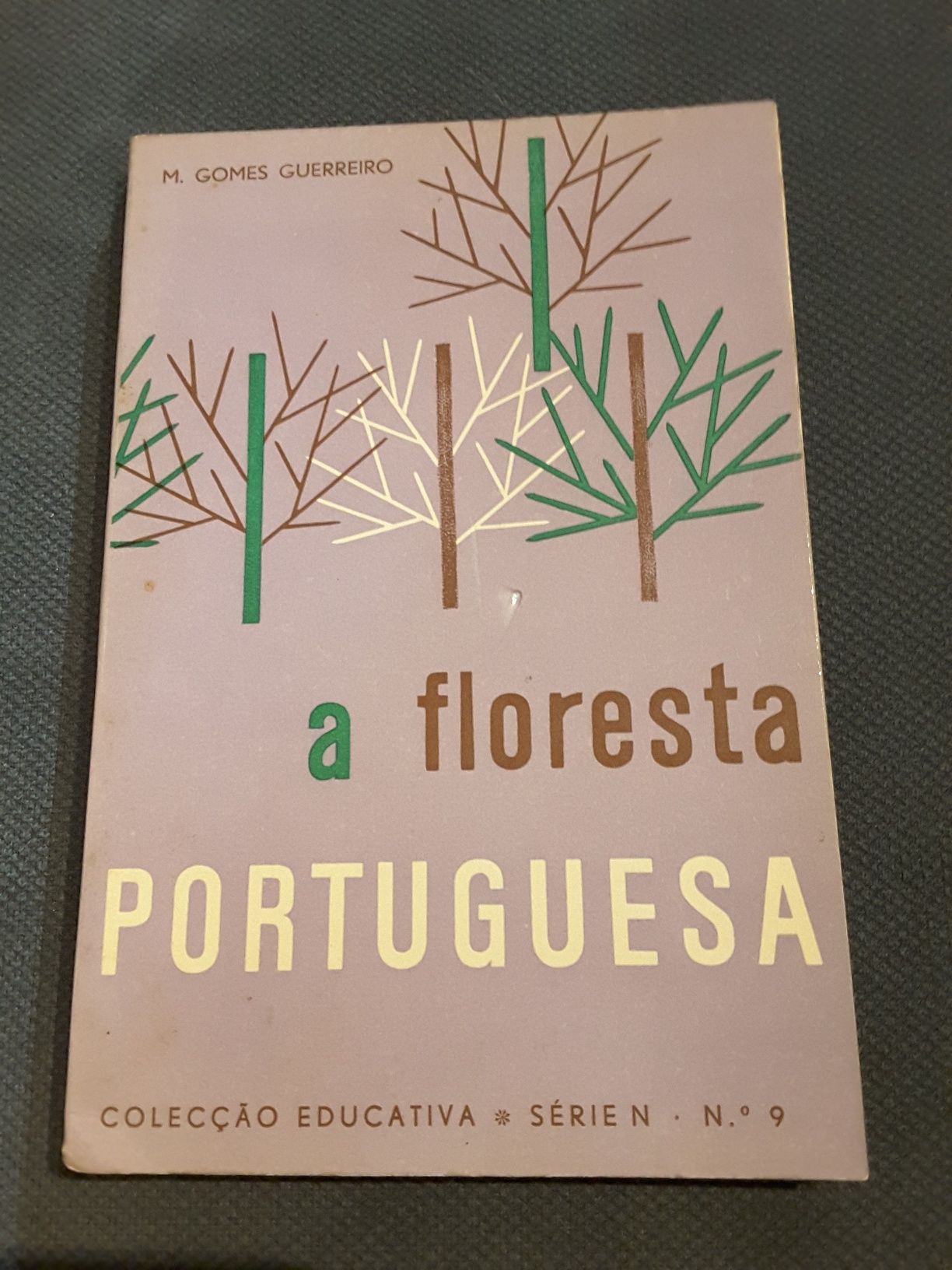 A Região da Macieira “bravo de Esmolfe” / A Floresta Portuguesa