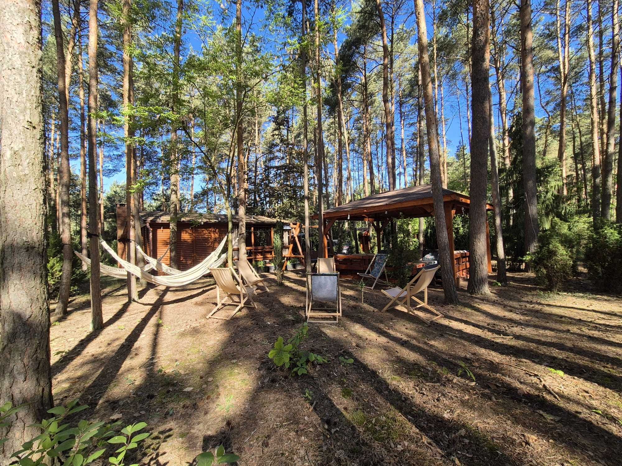 Domek Letniskowy na wynajem nad Zalewem Koronowskim