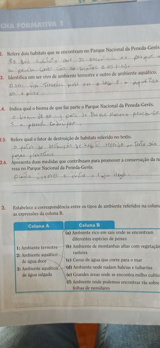 Livros de fichas caderno de atividades 5 ano