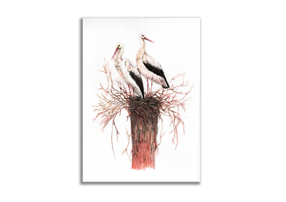 Obraz ręcznie malowany Bociany z ramą