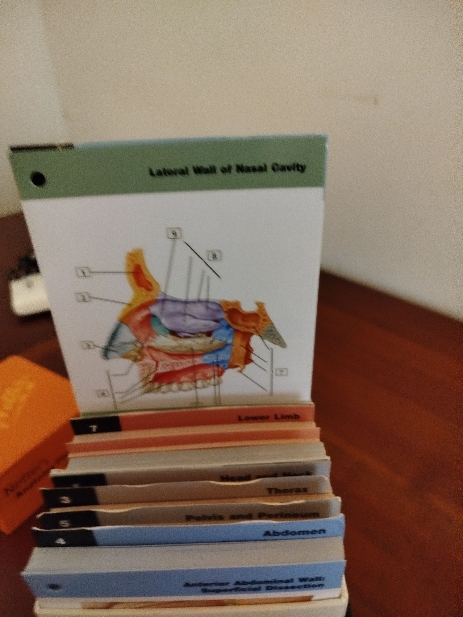 Livro Anatomia .Netter s Anatomy