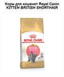 Royal Canin British Kitten, для котят британців 2 кг