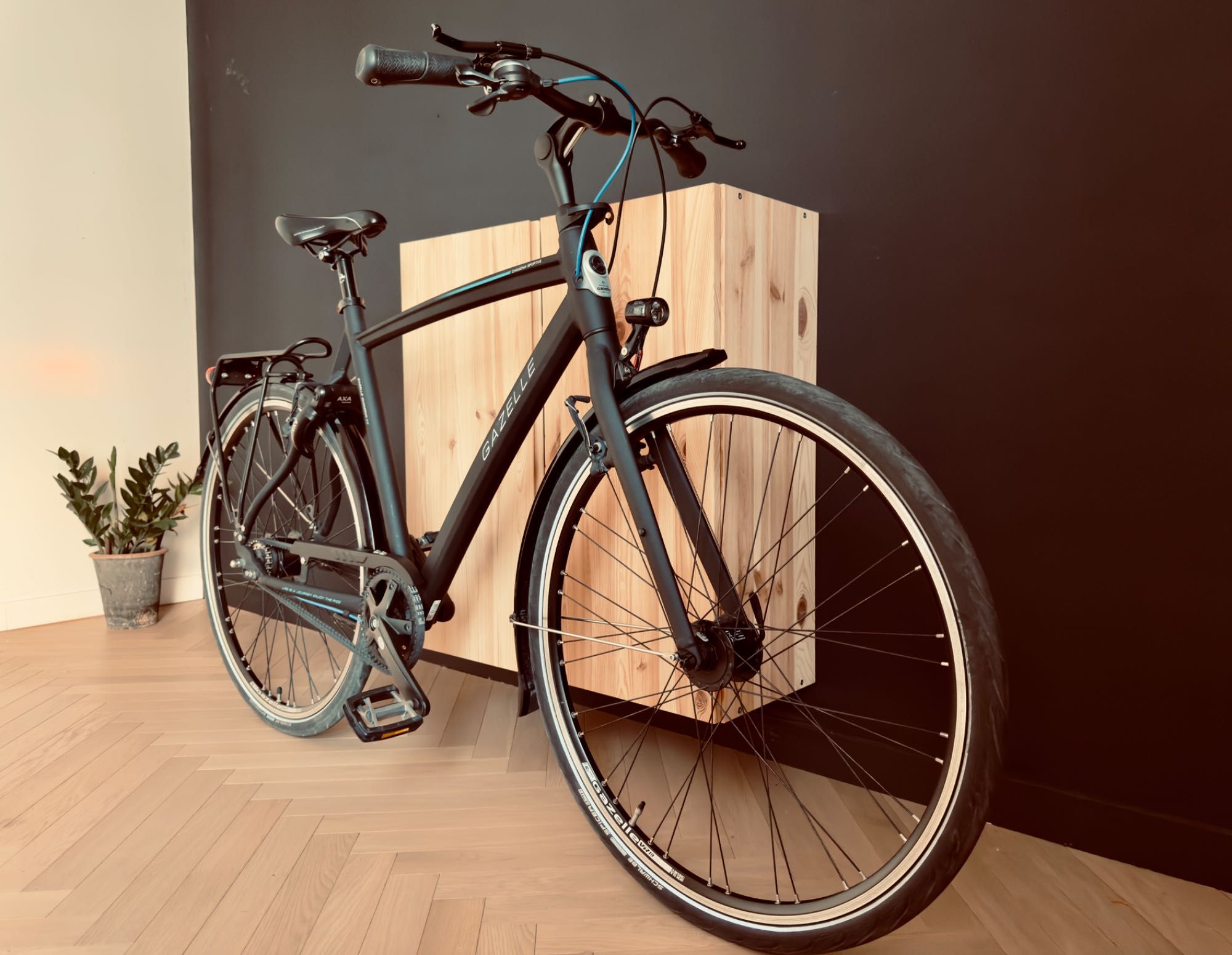 Gazelle Chamonix S8 (rozm. M] pasek klinowy, super stan, mały przebieg