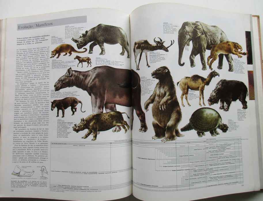 Animais da Terra - - - - - Enciclopédia