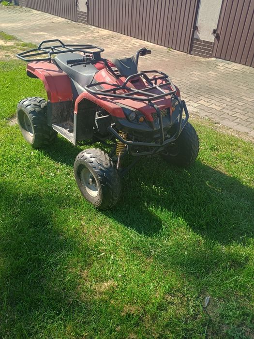 Quad Dragon 200cm