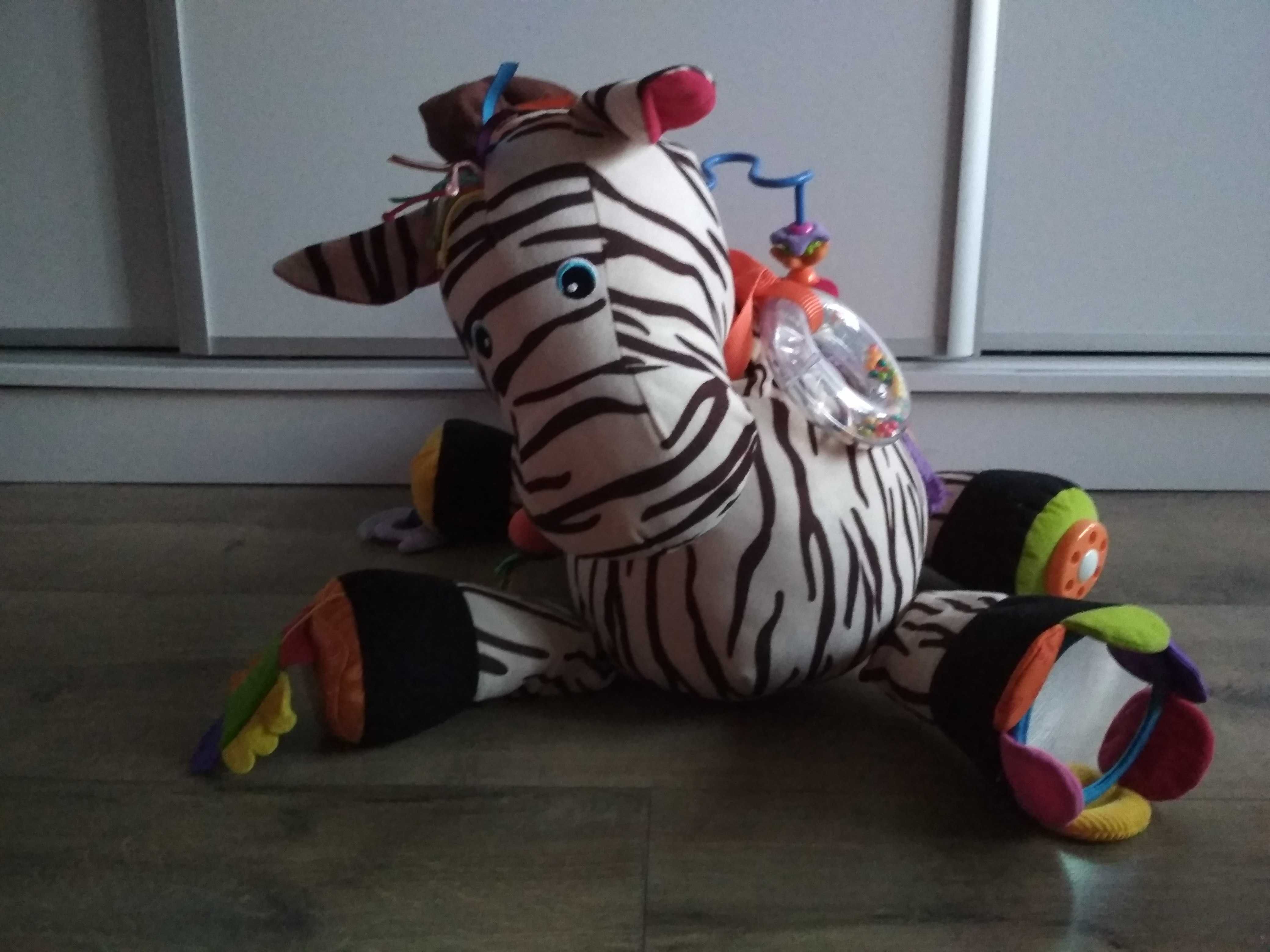 Zebra sensoryczna, integracyjna i edukacyjna RYAN Ks Kids