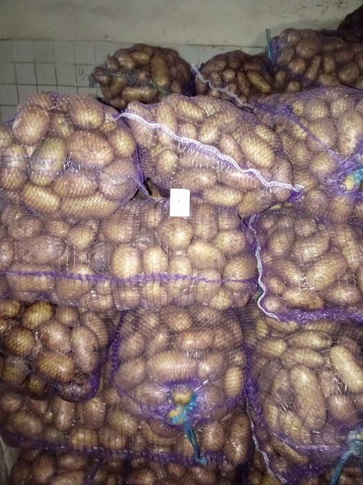 Продам та привезу до Вас картоплю!