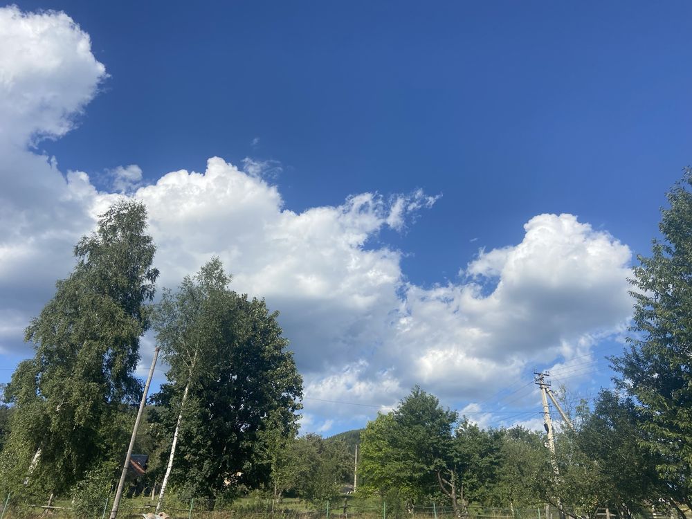 Відпочинок в Карпатах, Микуличин, Буковель ,котедж «Сонячний пагорб»