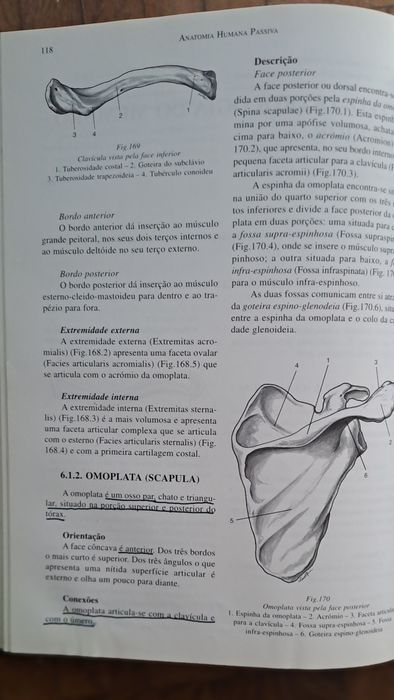 Livro anatomia medicina