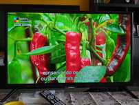 Televisão TV monitor PC casa quarto apartamento vivenda escritório.