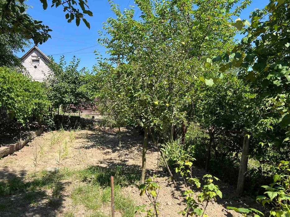 (5)   Продам дачу в с. Щітки  8116