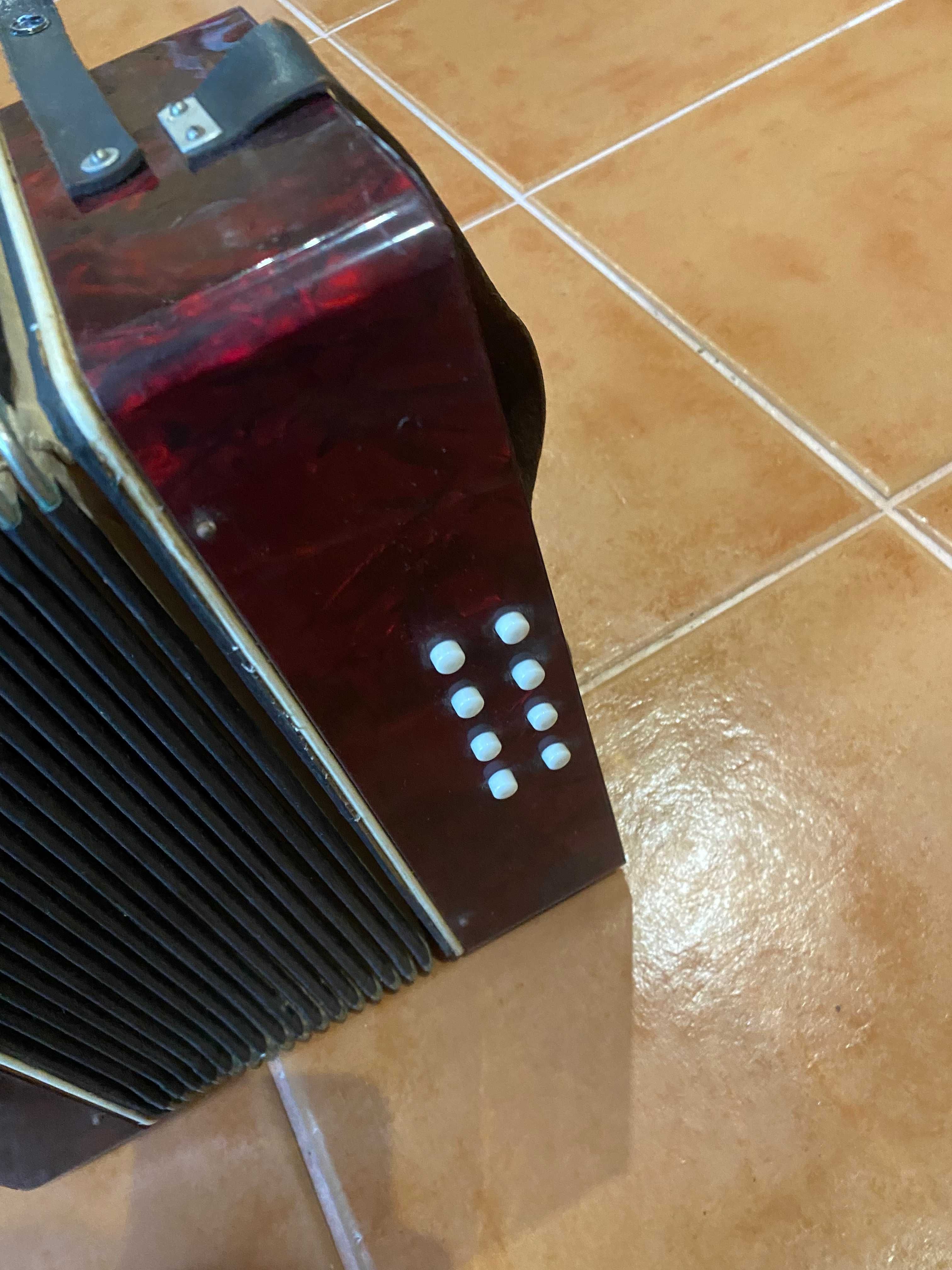 Concertina Finotti