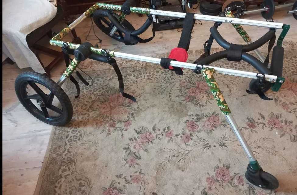 Wózek rehabilitacyjny dla psa, na przednie i tylnie łapy, regulowany