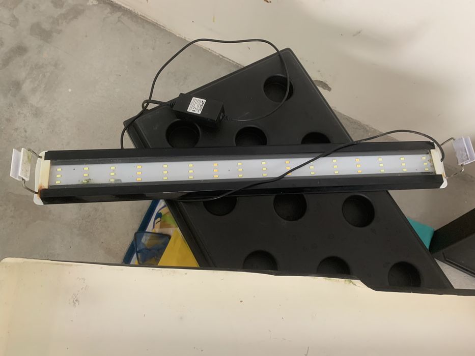Aquario 50L com Luz