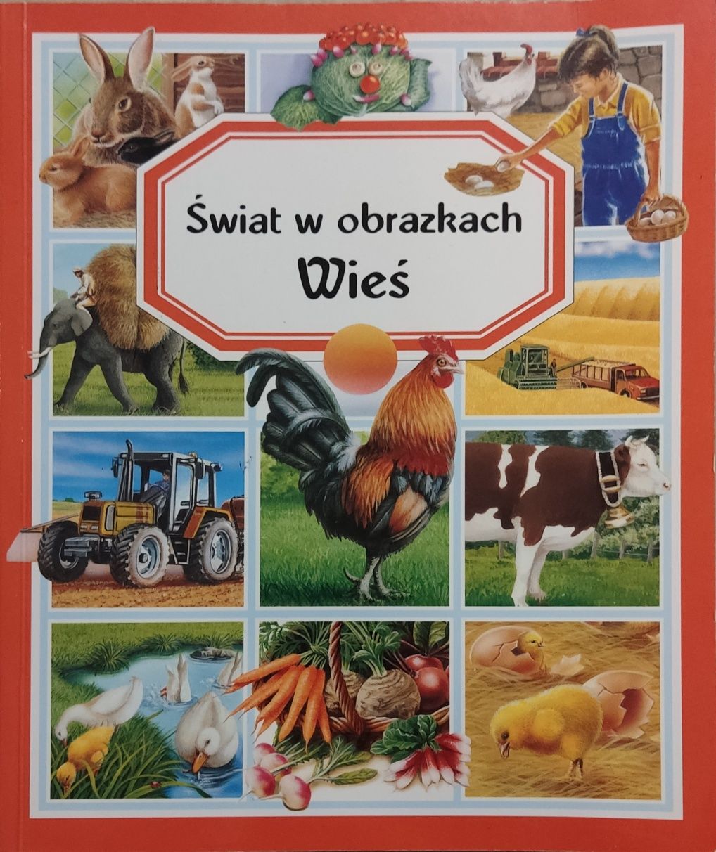 Wieś. Świat w obrazkach - Emilie Beaumont. Nowa!