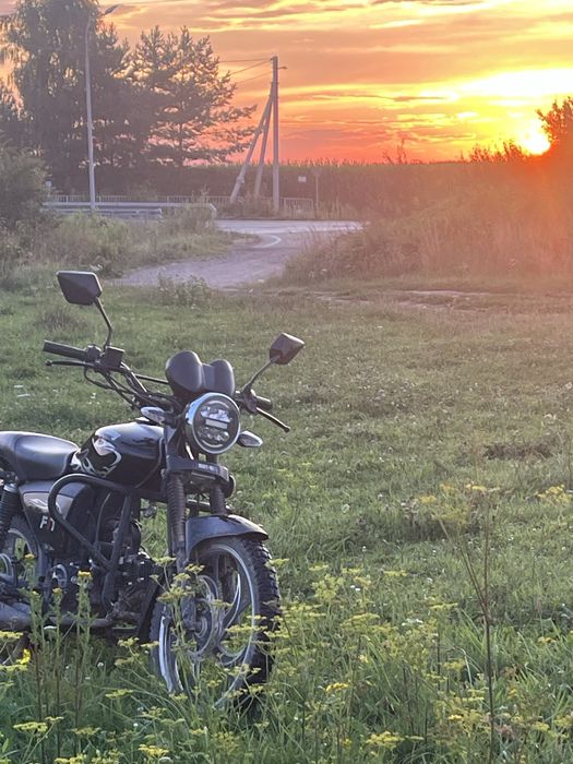 Mustang fit 1 125, Альфа